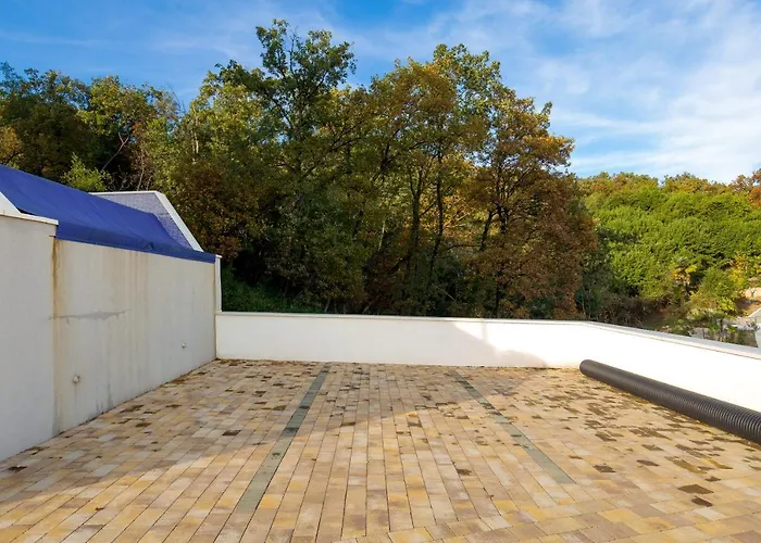 Palmas オパティヤ